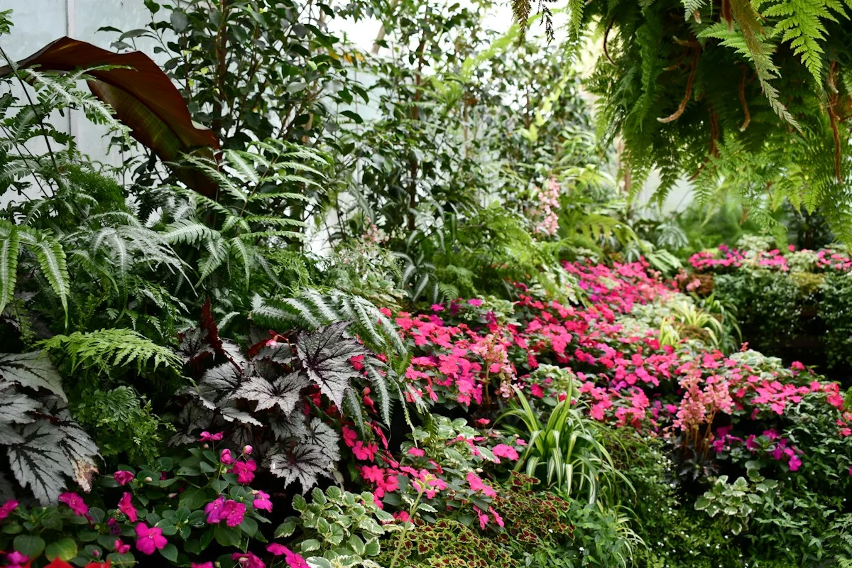 Lush green gardens and pink flowers in Christchurch