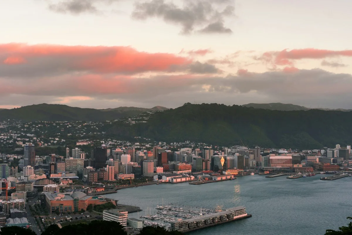 Wellington city and harbour seen from the hills
